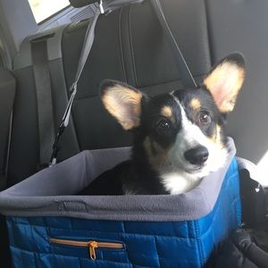 Meet your Posher, Doller